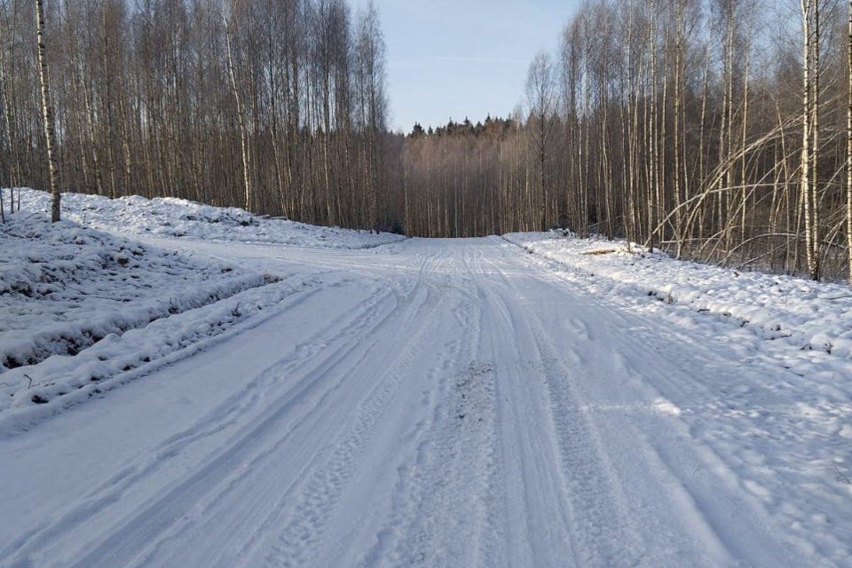 земля городской округ Дмитровский д. Сбоево фото 2