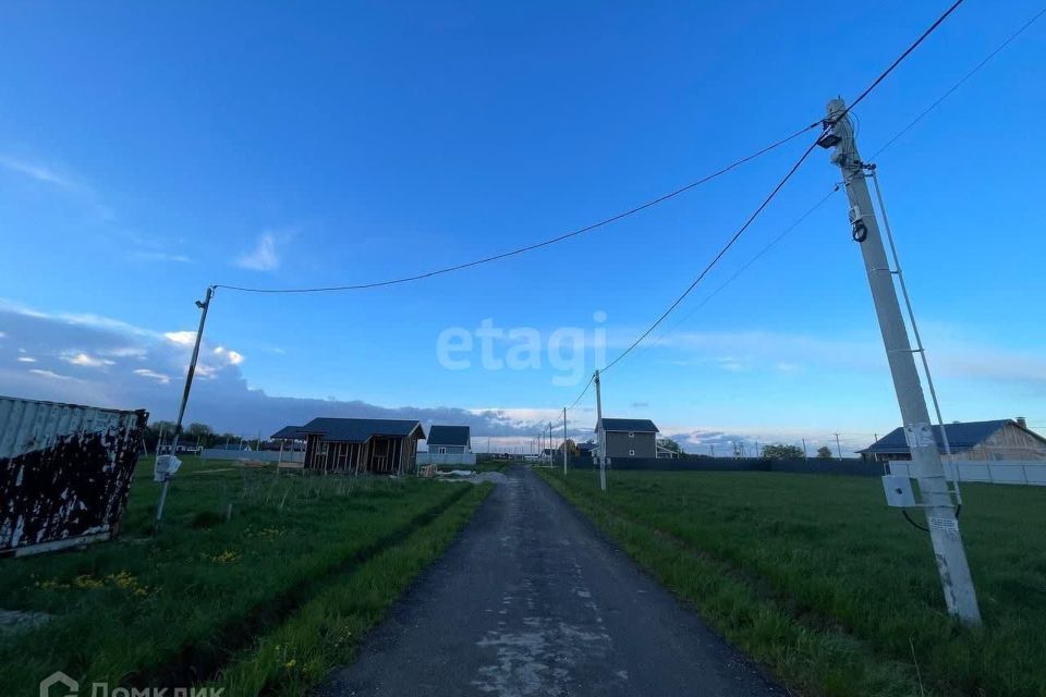 земля городской округ Домодедово д. Косино фото 4