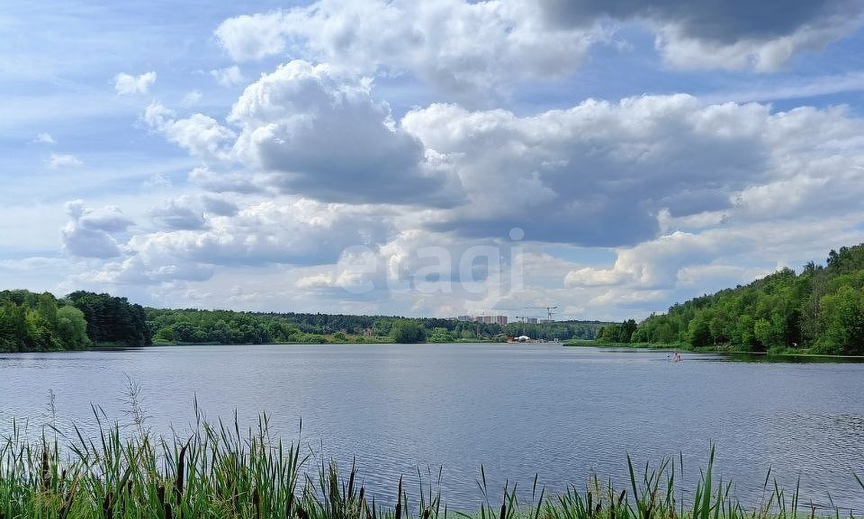 земля городской округ Ленинский с Булатниково СНТ Булатниково фото 9