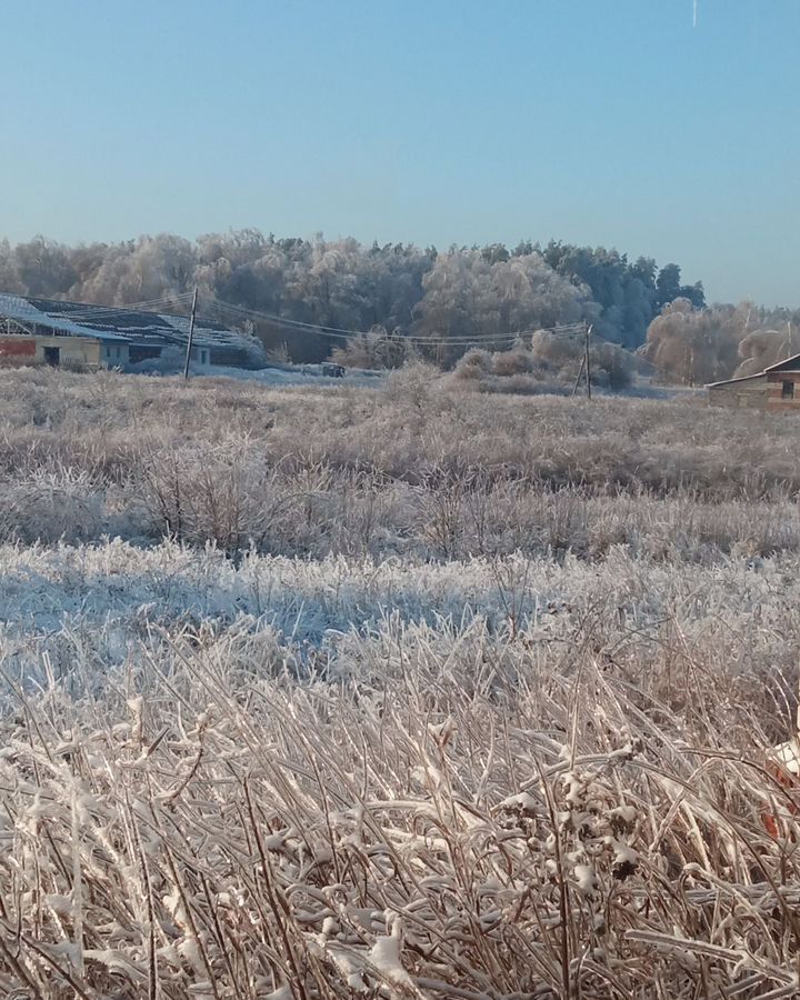 земля р-н Богородский с Убежицы ул Центральная Богородск фото 2