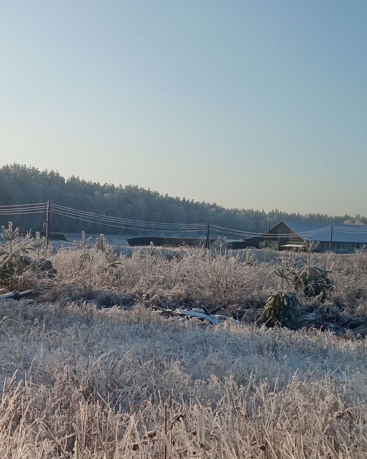 земля р-н Богородский с Убежицы ул Центральная Богородск фото 3