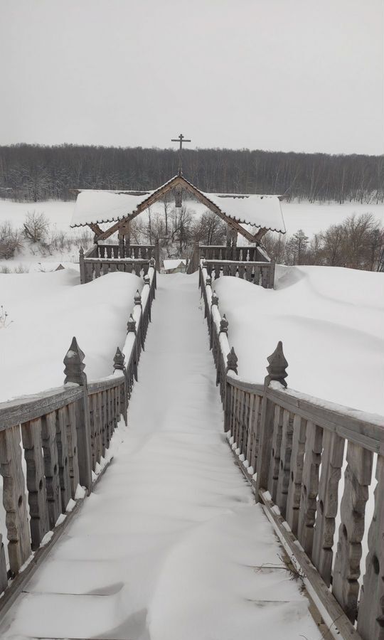 земля городской округ Зарайск 106 км, дп. Эко Дачи, 11, Новорязанское шоссе фото 3