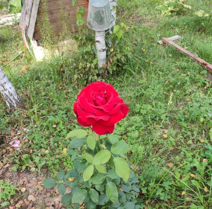 дом городской округ Клин д Колосово ул Берёзовая фото 40