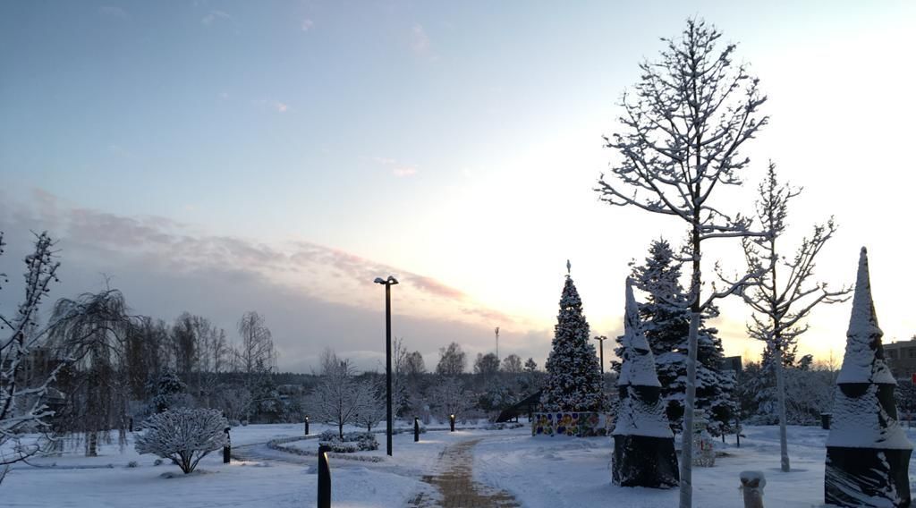 квартира городской округ Истра д Писково Нахабино, ул. Парковая, 164 фото 5