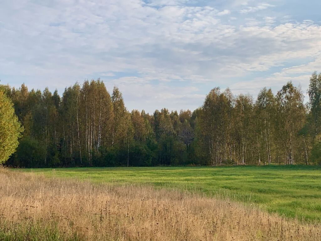 гостиницу р-н Пушкиногорский д Быково Мелниковское сельское поселение фото 9