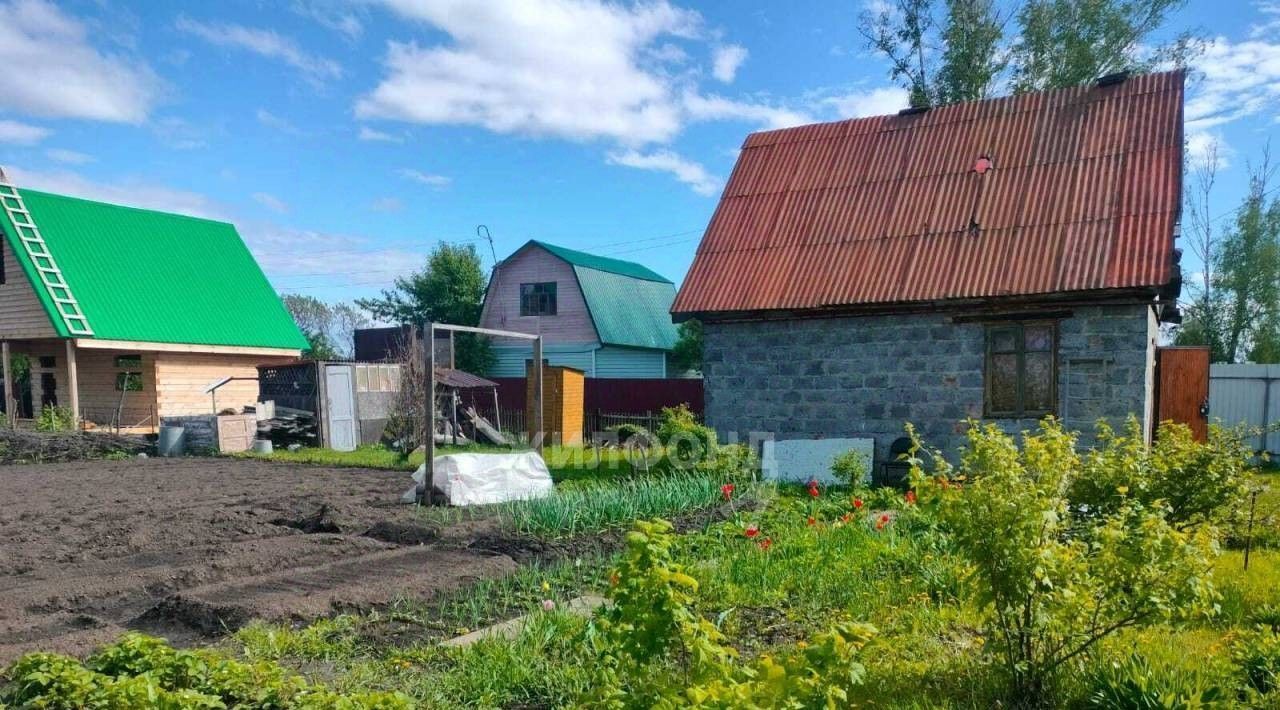 дом г Новосибирск р-н Советский Площадь Маркса, Буревестник садовое товарищество фото 3