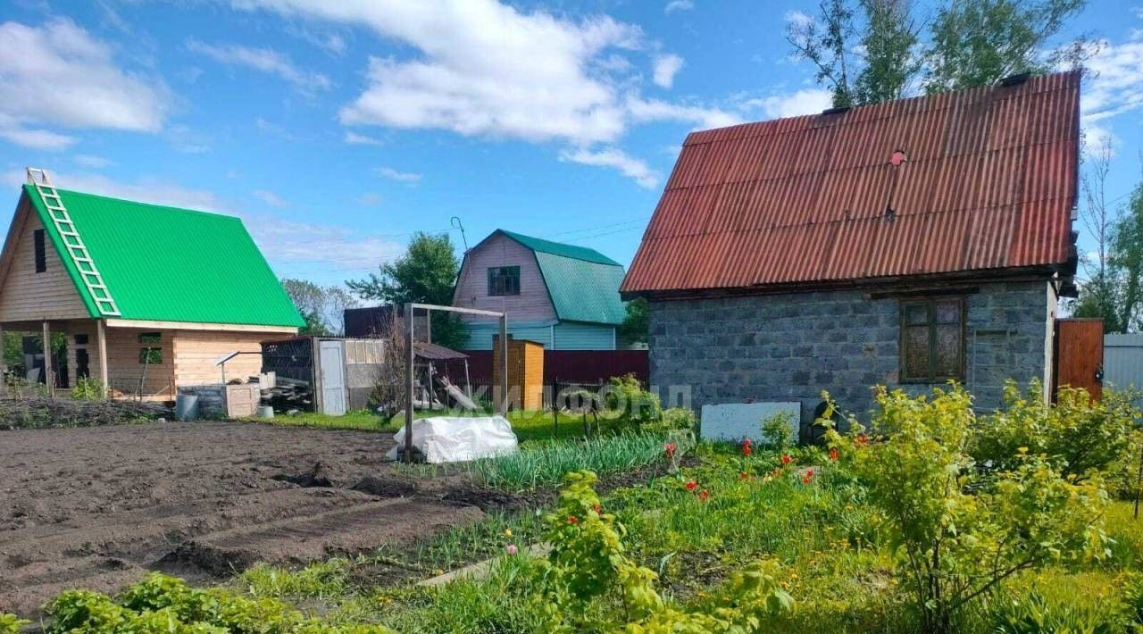 дом г Новосибирск р-н Советский Площадь Маркса, Буревестник садовое товарищество фото 4