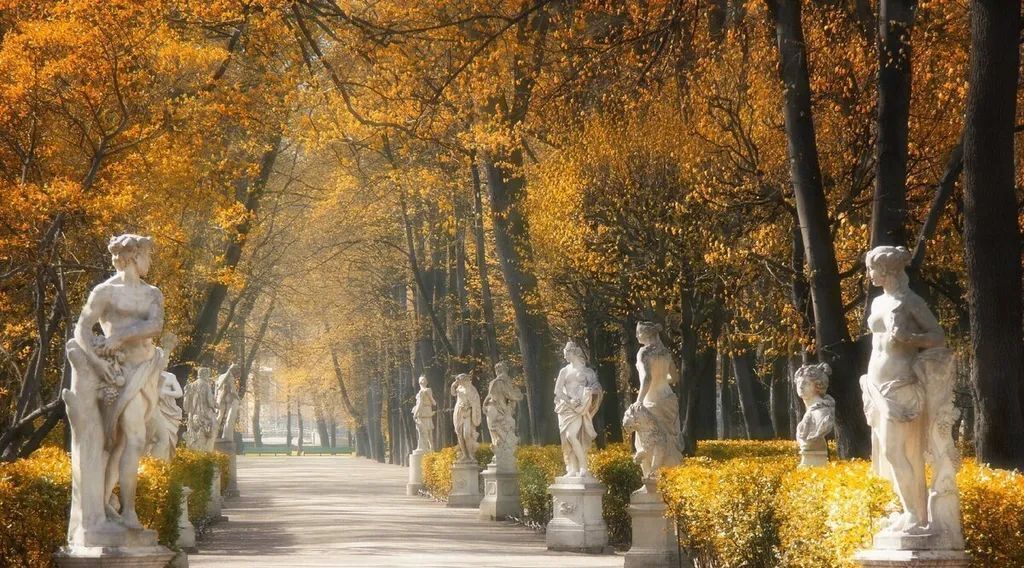 квартира г Санкт-Петербург метро Невский Проспект пер Соляной 16 фото 17