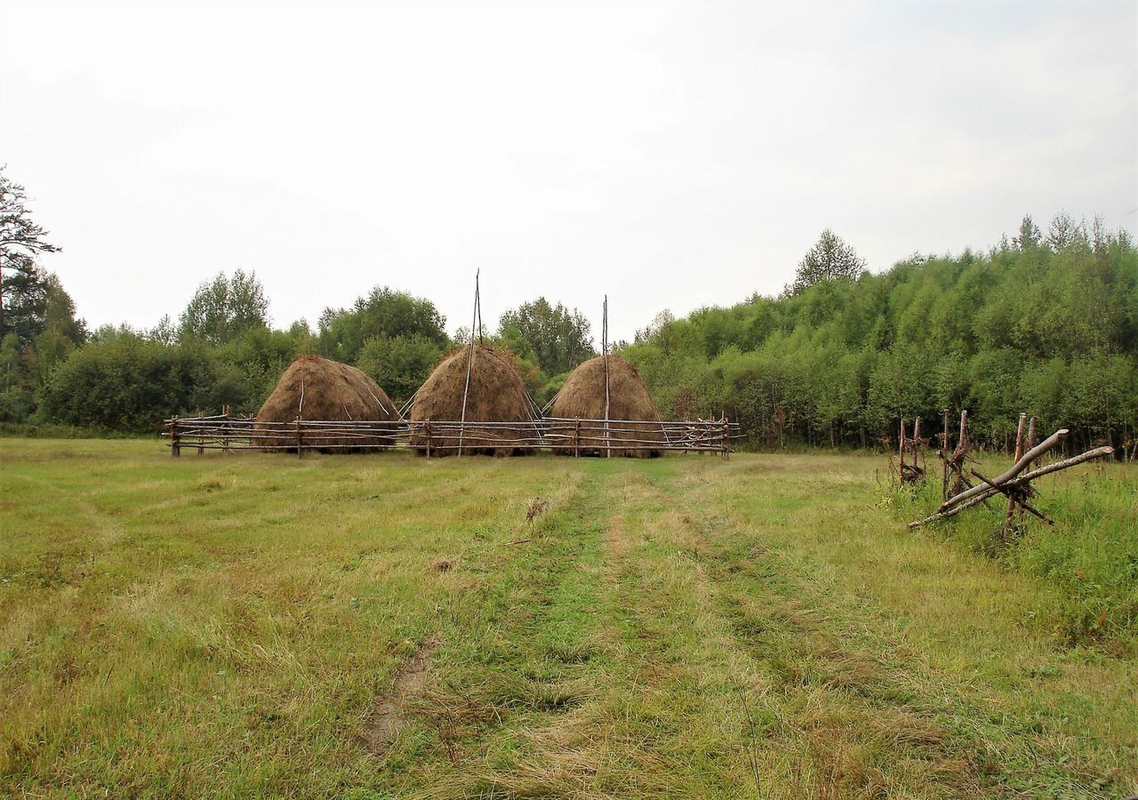 земля р-н Иркутский СНТ Михалёво, Иркутск фото 3