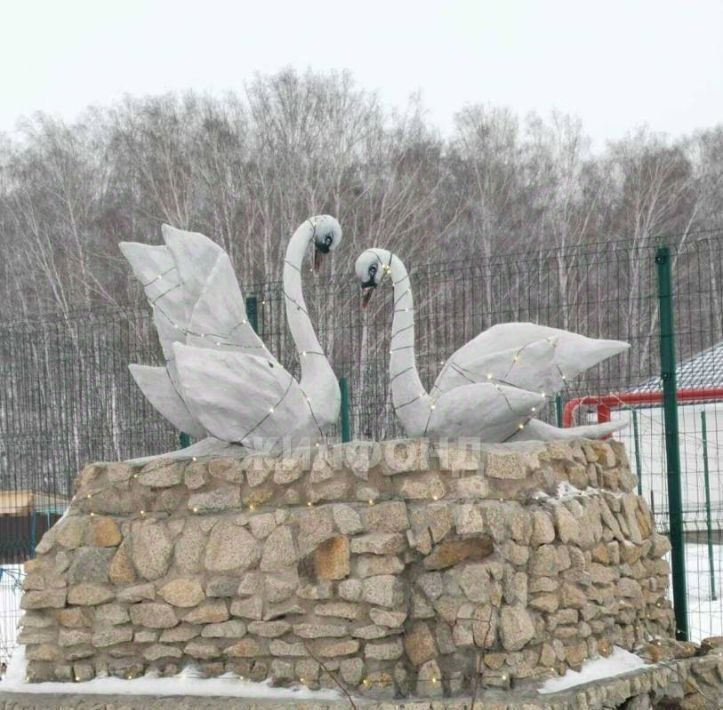 дом р-н Новосибирский с Марусино ул Славянская Криводановский сельсовет фото 12