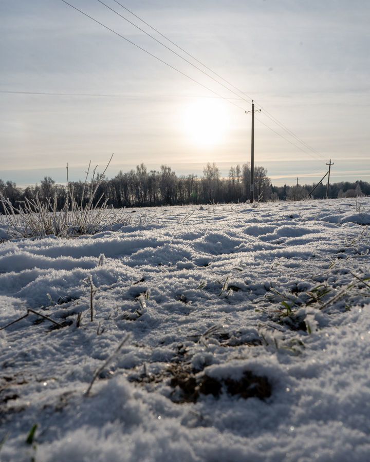 земля городской округ Шаховская д Коптязино 112 км, Новорижское шоссе фото 2