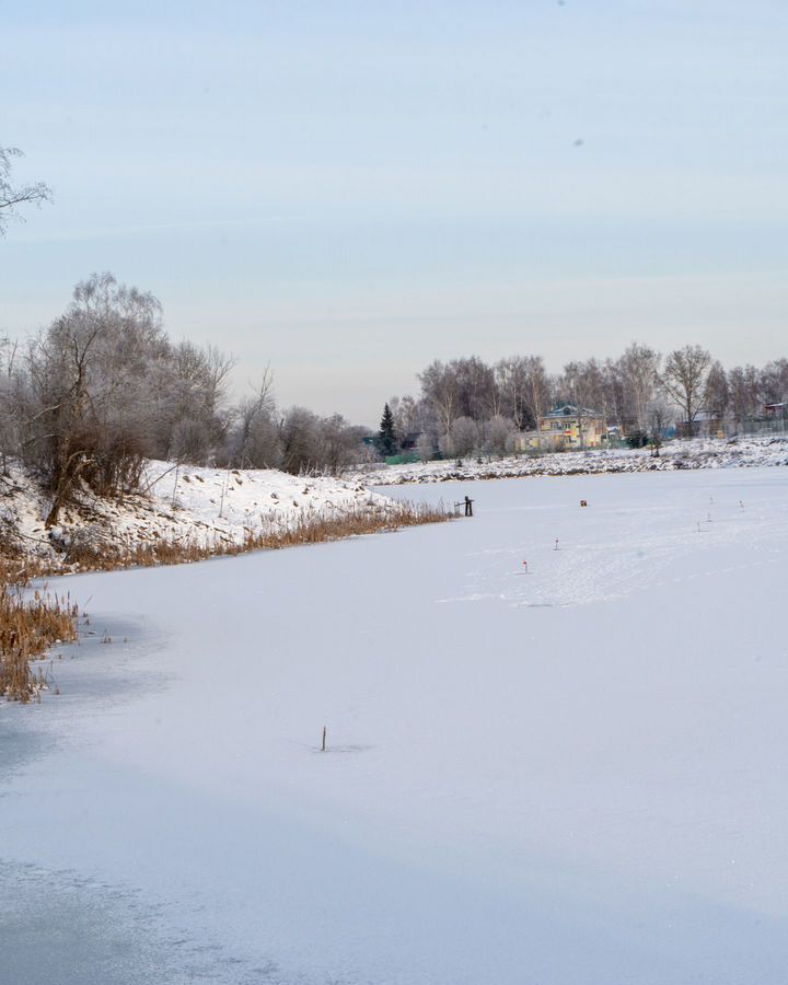 земля городской округ Шаховская д Коптязино 112 км, Новорижское шоссе фото 3