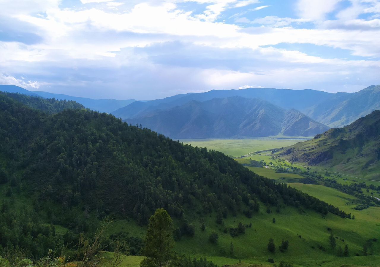 земля р-н Чемальский с Эдиган Онгудай фото 1