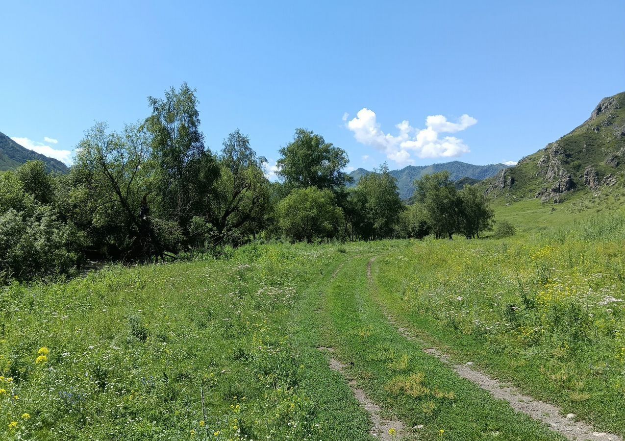 земля р-н Чемальский с Эдиган Онгудай фото 2