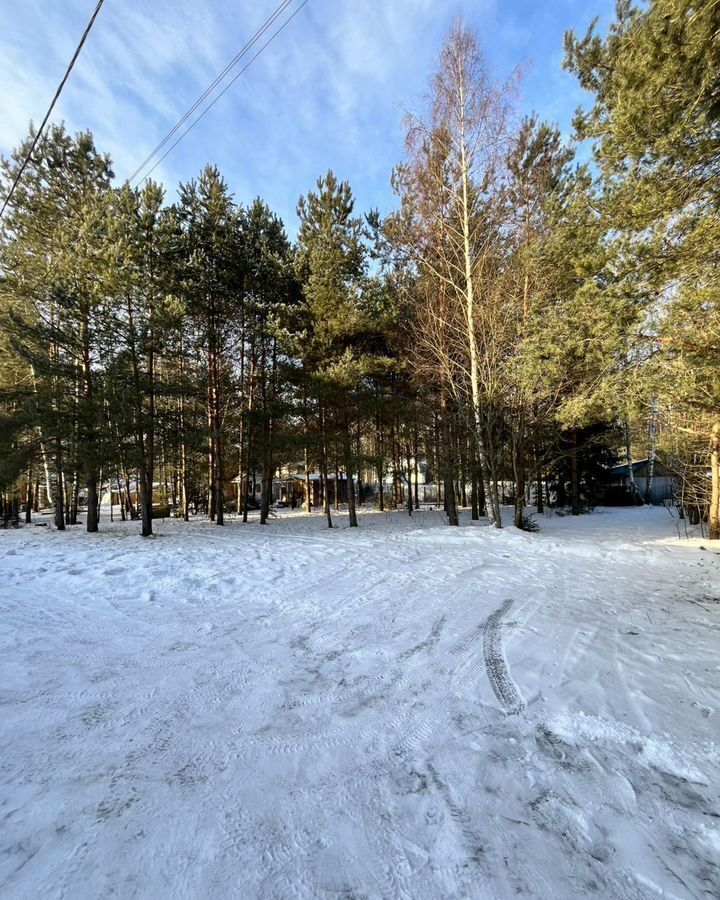 земля городской округ Пушкинский п Софрино 30 км, Ярославское шоссе фото 3