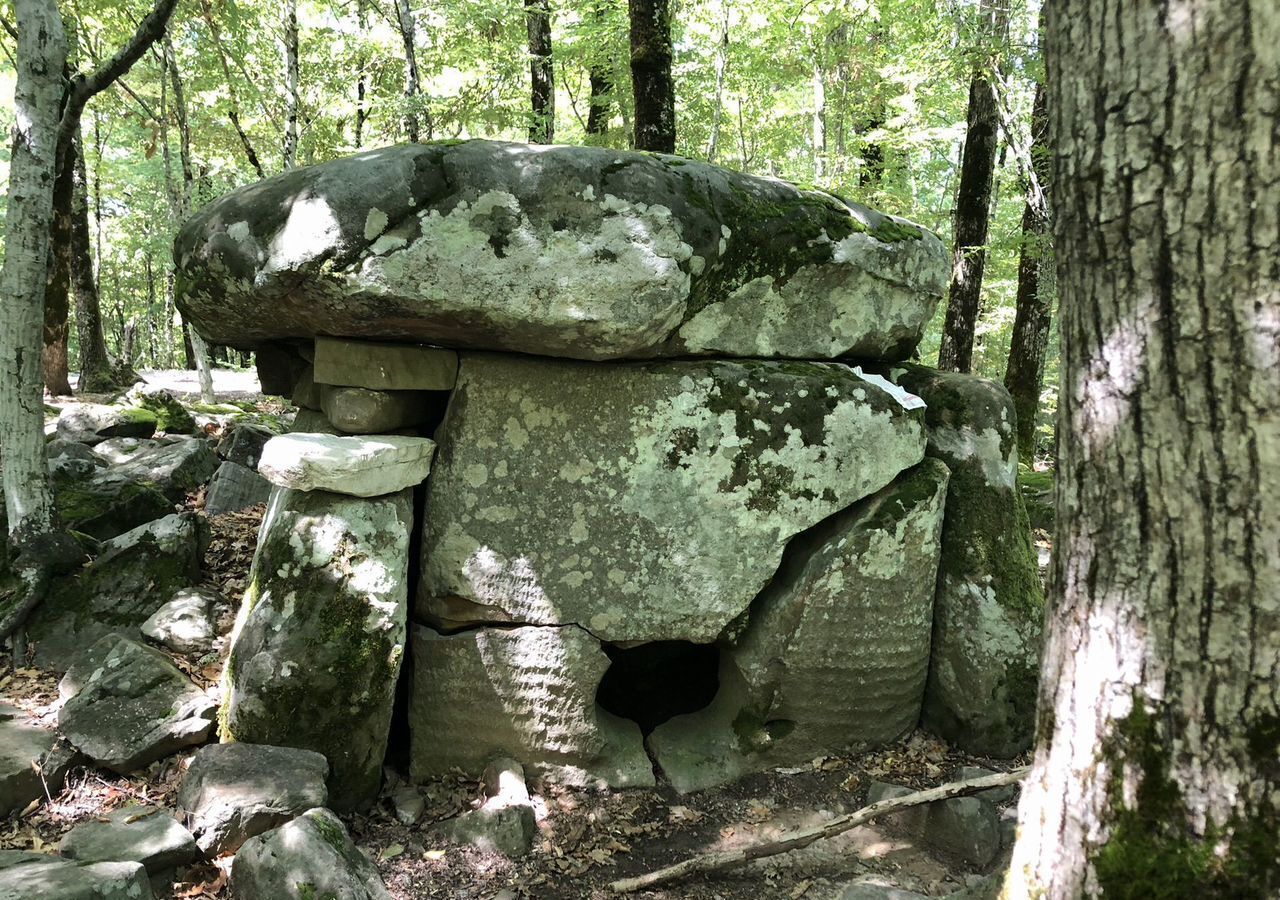 дом г Геленджик х Широкая Щель снт Садовод ул Лесная фото 37