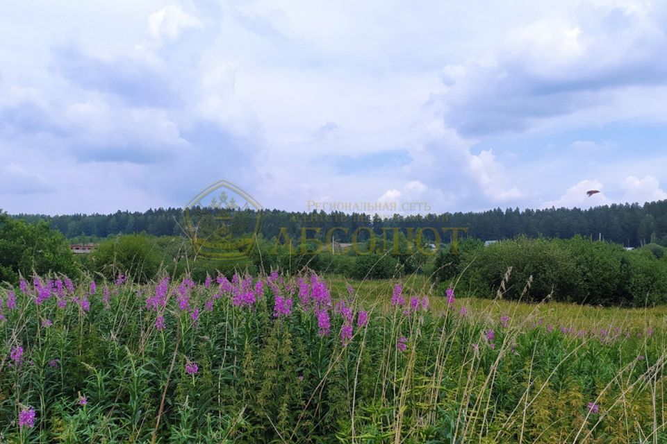 земля городской округ Дегтярск, Дегтярск фото 2