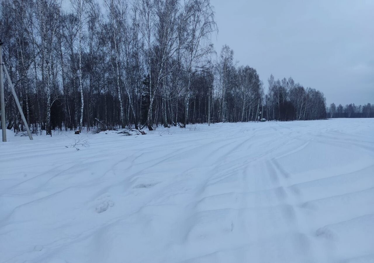 дом р-н Томский снт тер.Изумрудный пер Ягодный Зоркальцевское сельское поселение, Томск фото 7