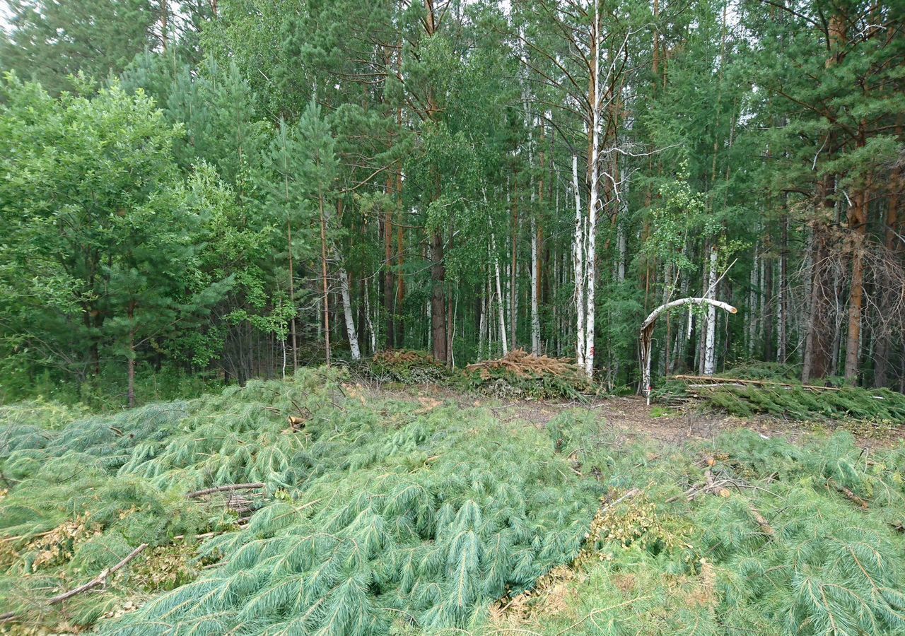 земля р-н Иркутский СНТ Михалёво, Иркутск фото 12