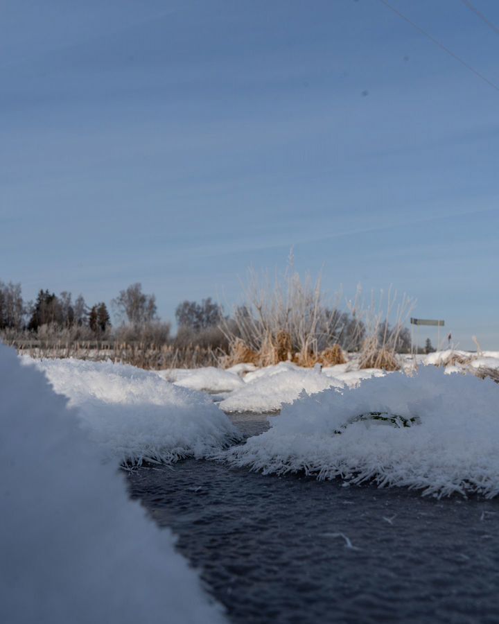 земля городской округ Шаховская д Коптязино 112 км, Новорижское шоссе фото 5