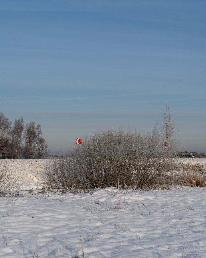 земля городской округ Шаховская д Коптязино 112 км, Новорижское шоссе фото 6