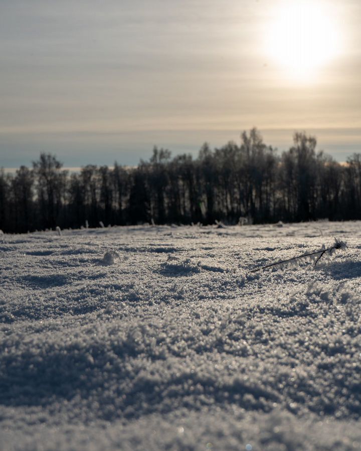 земля городской округ Шаховская д Коптязино 112 км, Новорижское шоссе фото 9