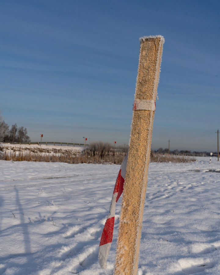 земля городской округ Шаховская д Коптязино 112 км, Новорижское шоссе фото 7