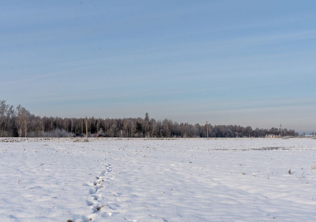 земля городской округ Шаховская д Коптязино 112 км, Новорижское шоссе фото 15