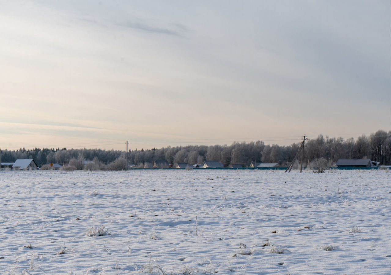 земля городской округ Шаховская д Коптязино 112 км, Новорижское шоссе фото 16