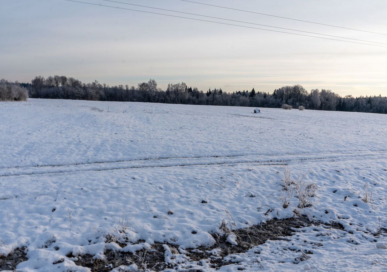 земля городской округ Шаховская д Коптязино 112 км, Новорижское шоссе фото 17