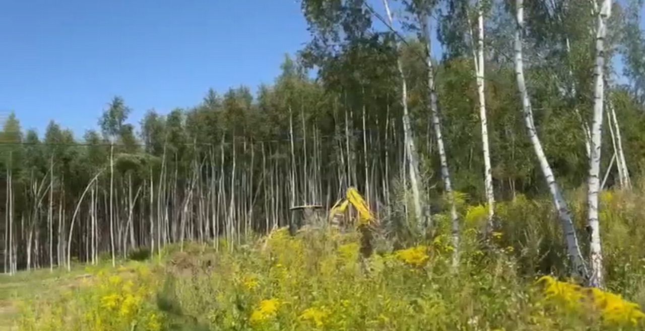 земля городской округ Раменский 44 км, коттеджный пос. Эковита-Аква, Бронницы, Новорязанское шоссе фото 7