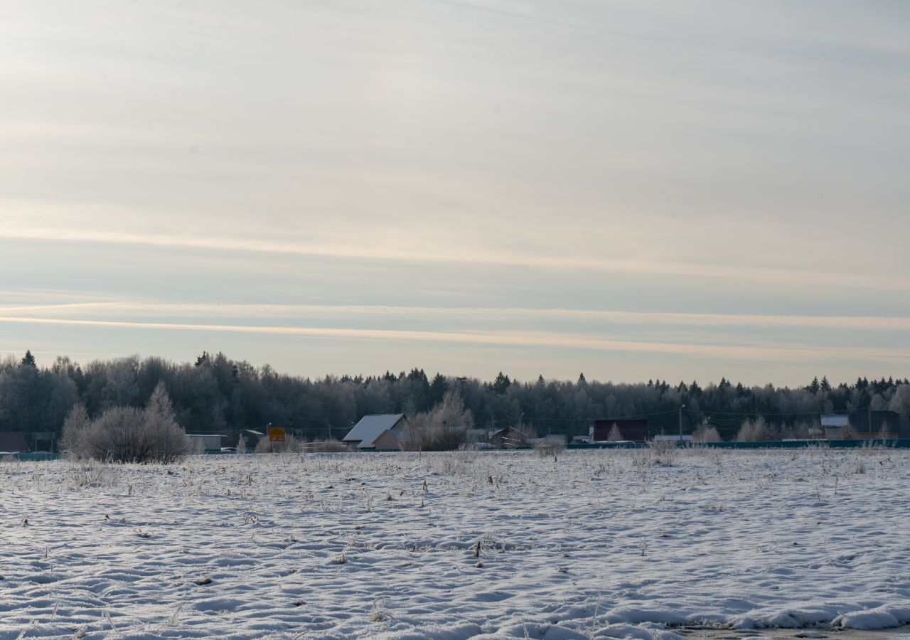 земля городской округ Шаховская д Назарьево 109 км, Новорижское шоссе фото 1