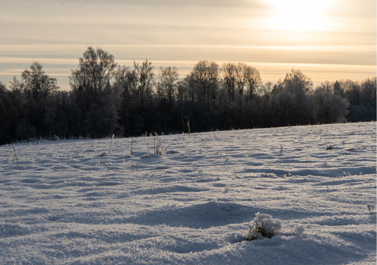 земля городской округ Шаховская д Назарьево 109 км, Новорижское шоссе фото 3