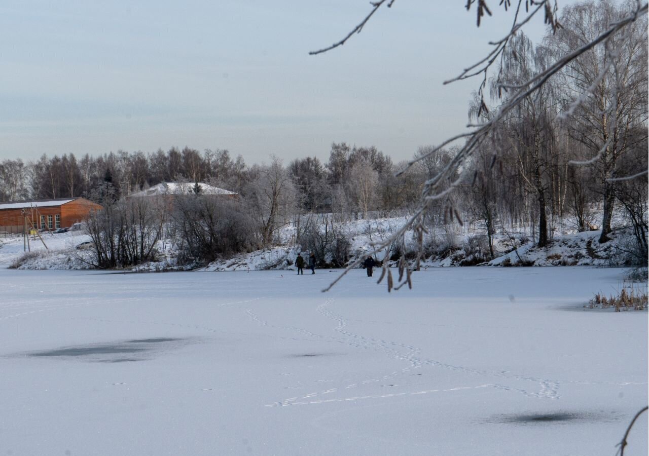 земля городской округ Шаховская д Назарьево 109 км, Новорижское шоссе фото 2