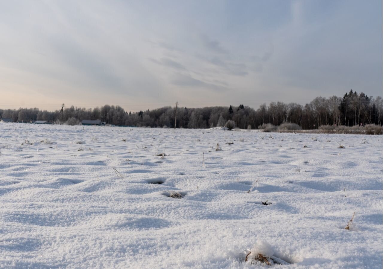 земля городской округ Шаховская д Назарьево 109 км, Новорижское шоссе фото 4