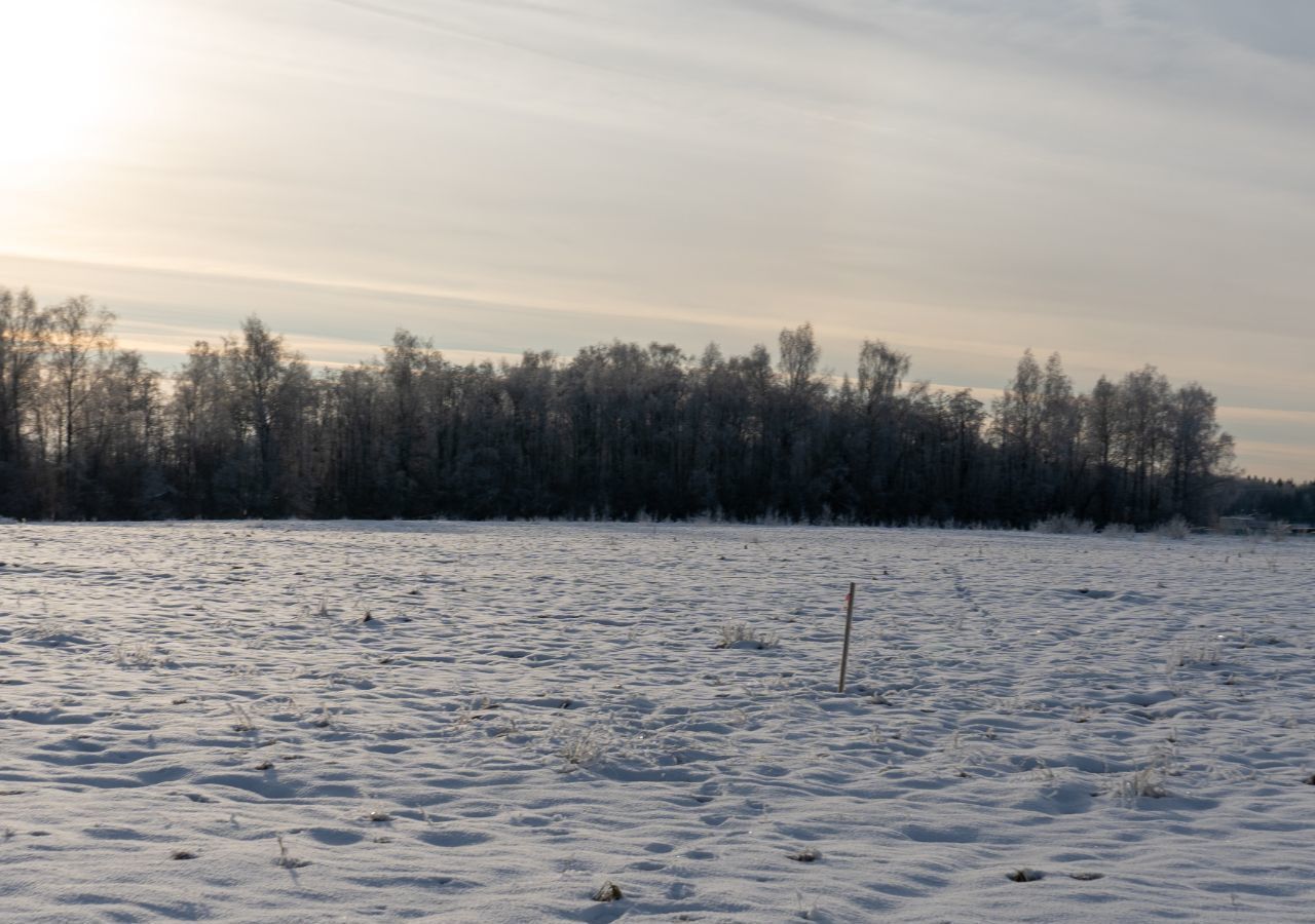 земля городской округ Шаховская с Белая Колпь 111 км, Новорижское шоссе фото 1