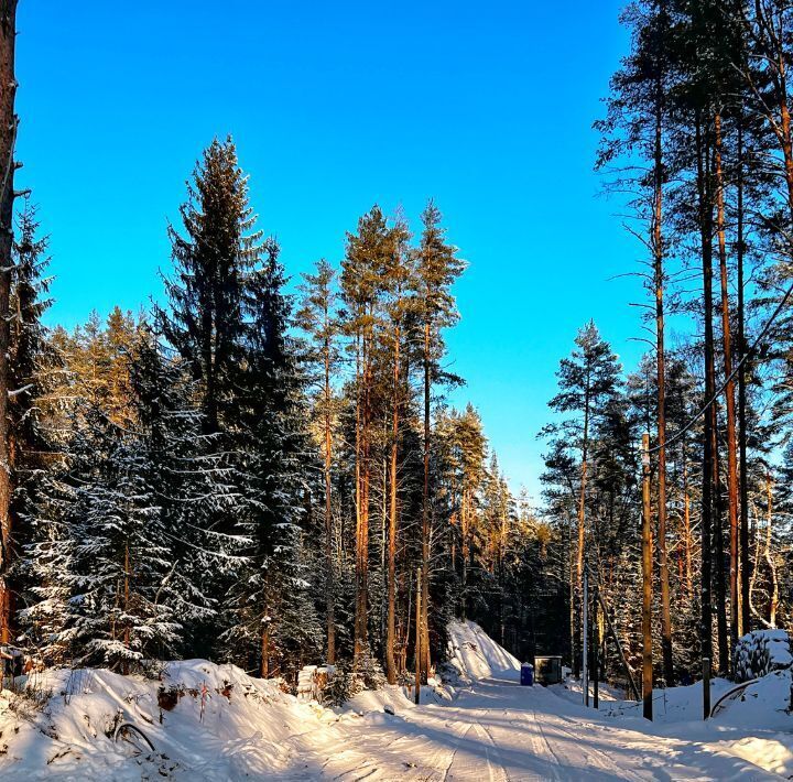 дом р-н Всеволожский Куйвозовское с/пос, Белкино-2 кп фото 11