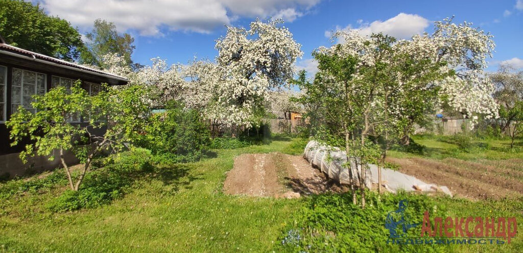 дом р-н Лужский п Оредеж Пантелеевичи фото 9