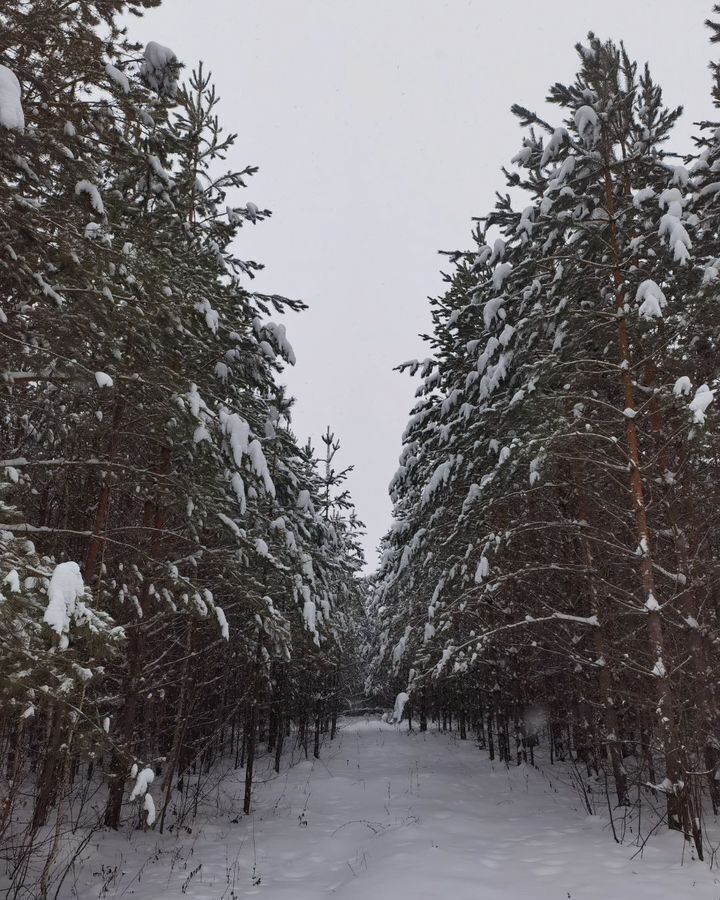 дом р-н Сенгилеевский п Кучуры Силикатненское городское поселение, Красный Гуляй фото 14