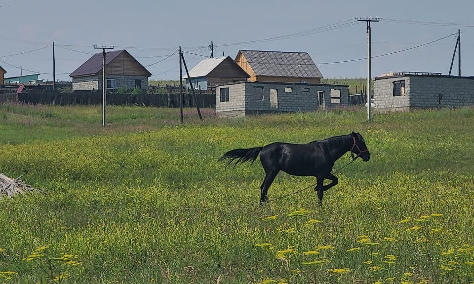 дом р-н Иркутский с. Урик фото 8