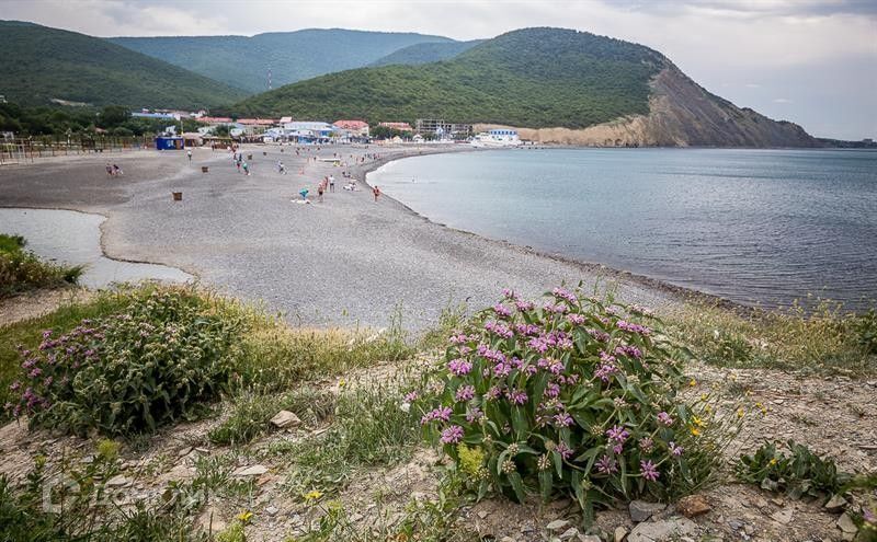 земля р-н Анапский с Сукко муниципальное образование Анапа, Курортная фото 6