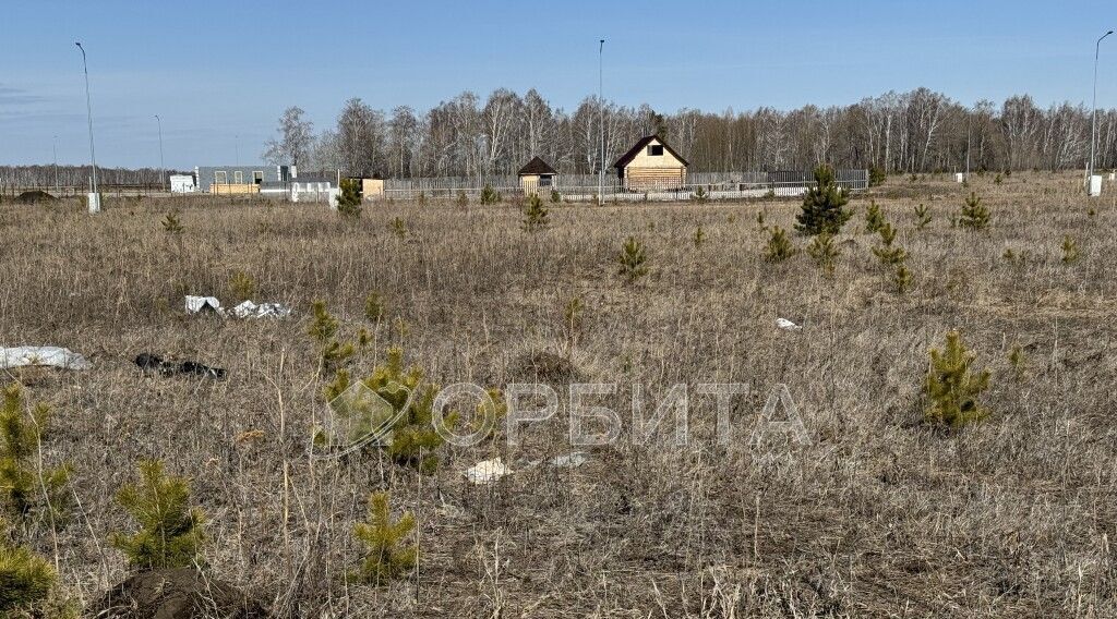 земля р-н Тюменский Новокаменский кп, ул. Васнецова фото 5