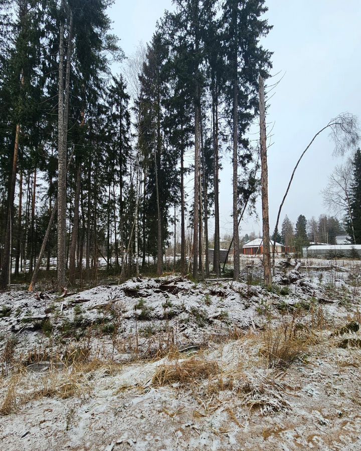 земля р-н Всеволожский г Сертолово Выборгское шоссе, 13 км, Сертоловское городское поселение, Омская ул, садоводческое некоммерческое товарищество Заречное фото 6