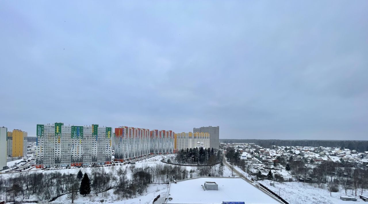 квартира городской округ Солнечногорск д Голубое пр-д Тверецкий 17 Зеленоград — Крюково фото 17