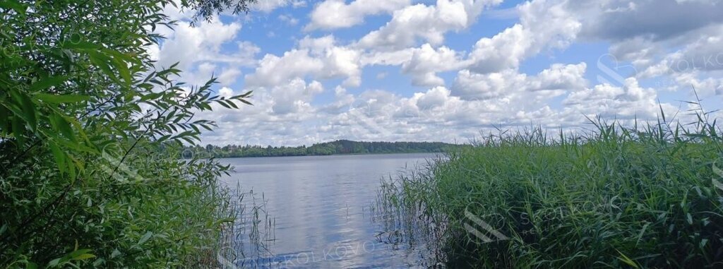 офис городской округ Истра д Лыщёво фото 9