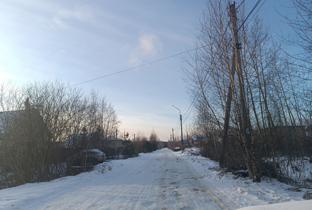 земля р-н Новгородский д Плетниха ул Чапаева Ермолинское сельское поселение фото 2