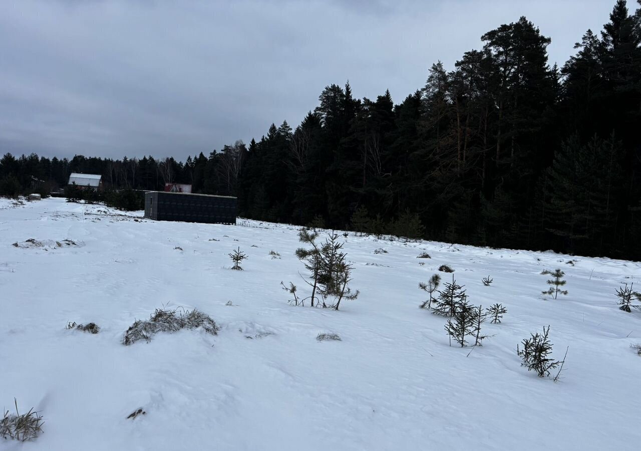 земля городской округ Можайский д Холдеево снт Холдеево 86 км, 78, Можайск, Минское шоссе фото 4