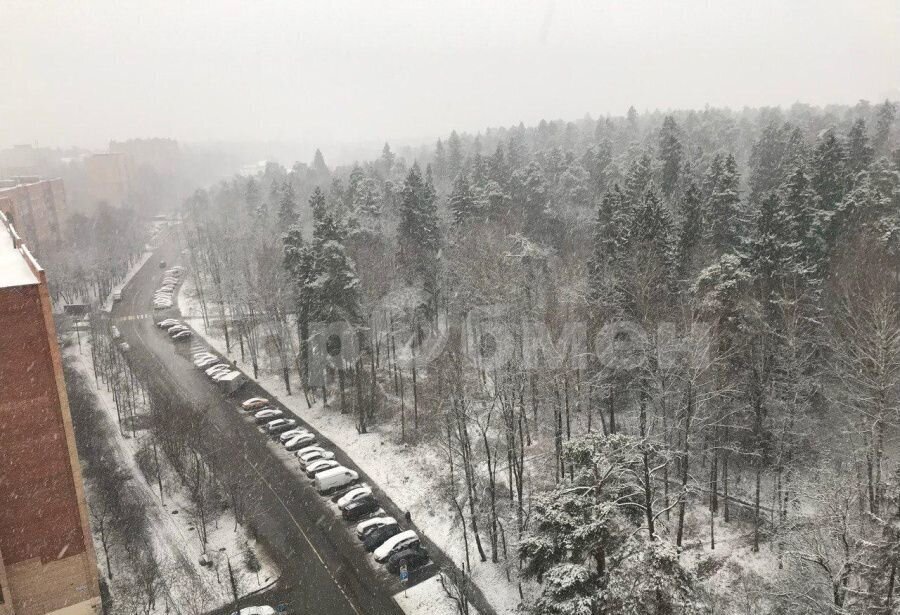 квартира г Красногорск Павшино ул Лесная 13 фото 4