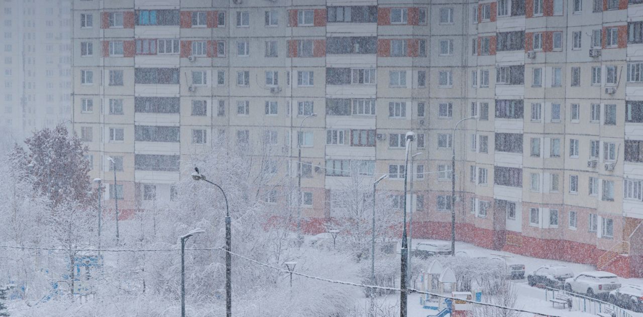 квартира г Москва метро Царицыно ул Лебедянская 38 муниципальный округ Бирюлёво Восточное фото 26