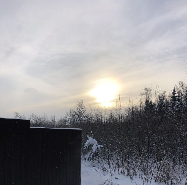 земля городской округ Дмитровский д Сафоново фото 4